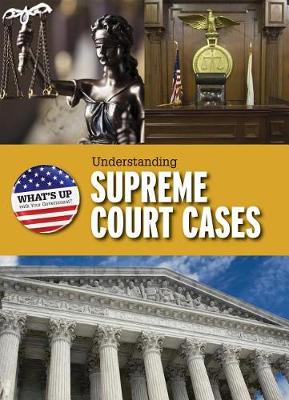 Book cover for Understanding Supreme Court Cases