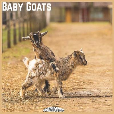 Book cover for Baby Goats 2021 Wall Calendar