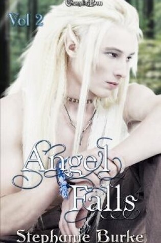 Cover of Angel Falls Vol. 2