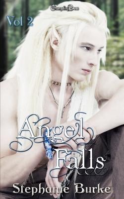 Book cover for Angel Falls Vol. 2
