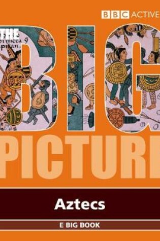 Cover of Aztecs E Big Book Multi User Licence