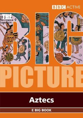 Book cover for Aztecs E Big Book Multi User Licence