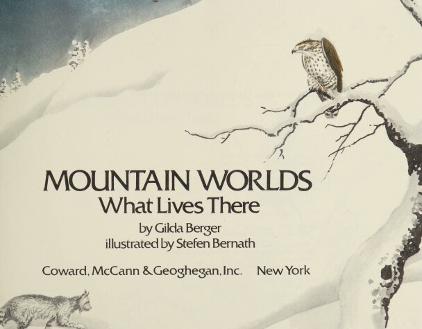 Book cover for Mountain Worlds