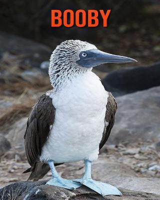 Book cover for Booby