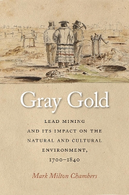 Book cover for Gray Gold