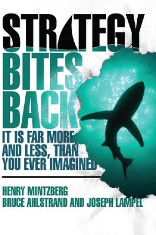 Cover of Strategy Bites Back