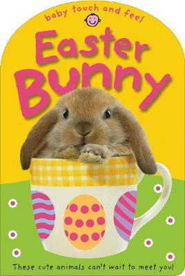 Book cover for Baby Touch and Feel Easter Bunny