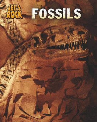 Book cover for Fossils