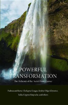 Cover of Powerful Transformation