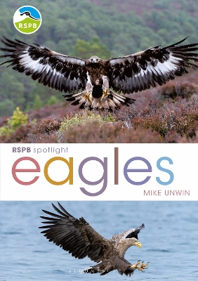 Cover of RSPB Spotlight: Eagles