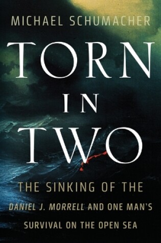Cover of Torn in Two