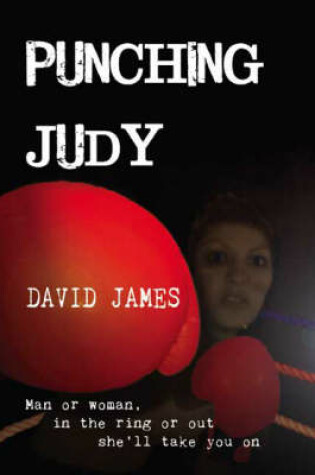 Cover of Punching Judy