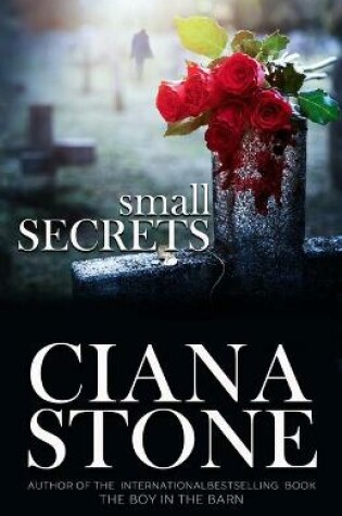 Cover of Small Secrets