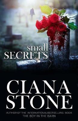 Book cover for Small Secrets