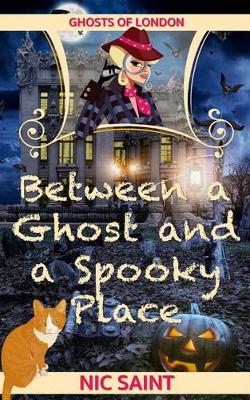 Book cover for Between a Ghost and a Spooky Place