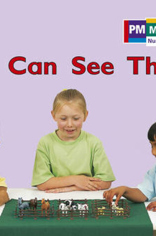 Cover of We Can See Three