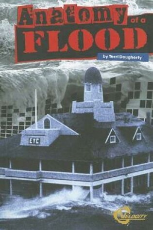 Cover of Anatomy of a Flood