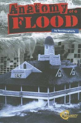 Book cover for Anatomy of a Flood