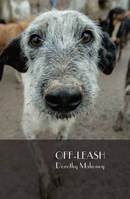 Book cover for Off Leash