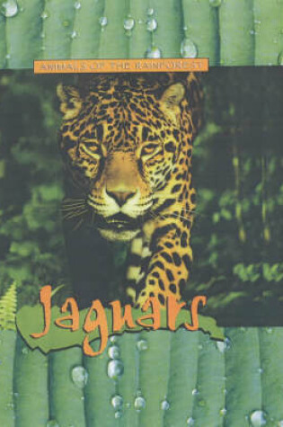 Cover of Animals of the Rainforest: Jaguars