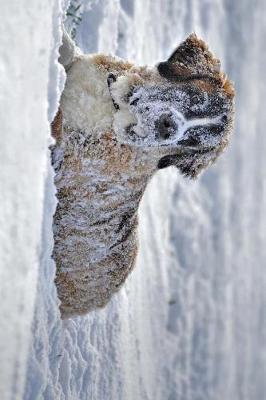 Book cover for Saint St Bernard Dog Laying in the Snow Journal