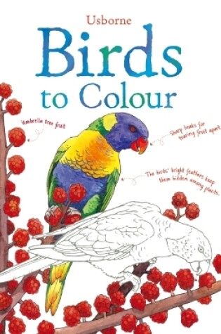 Cover of Birds to Colour