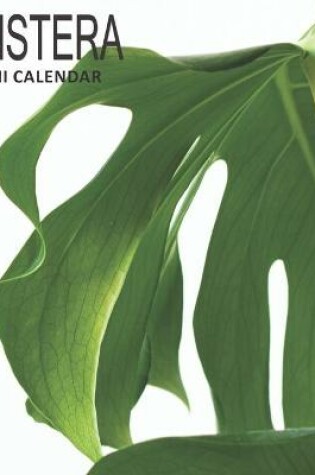 Cover of Monstera