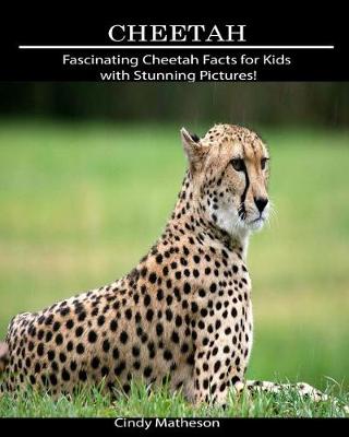 Book cover for Cheetah