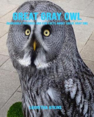 Book cover for Great Gray Owl