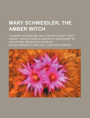 Book cover for Mary Schweidler, the Amber Witch (Volume 2430); The Most Interesting Trial for Witchcraft Ever Known. Printed from an Imperfect Manuscript by Her Father, Abraham Schweidler