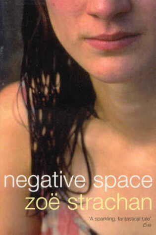 Cover of Negative Space