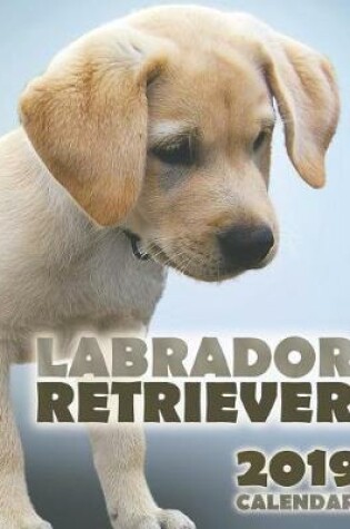 Cover of Labrador Retriever 2019 Calendar