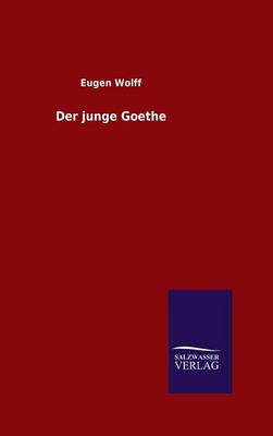 Book cover for Der junge Goethe