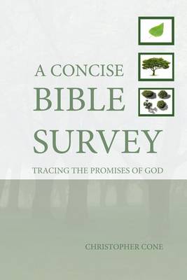 Book cover for A Concise Bible Survey