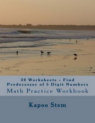 Book cover for 30 Worksheets - Find Predecessor of 5 Digit Numbers