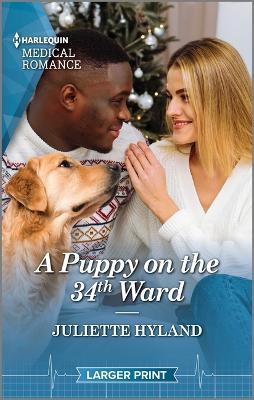 Book cover for A Puppy on the 34th Ward