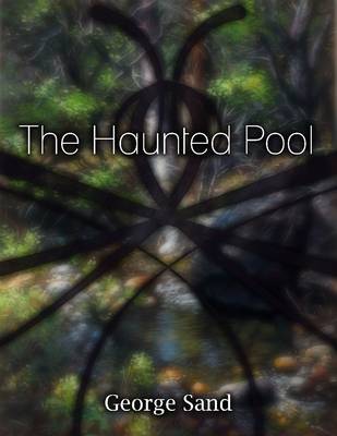 Book cover for The Haunted Pool