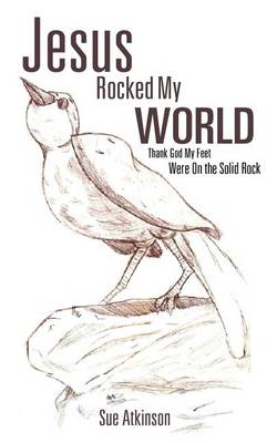 Book cover for Jesus Rocked My World