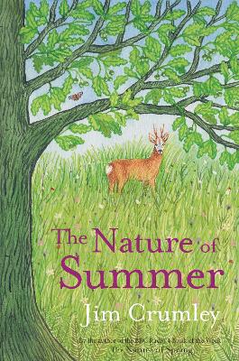 Book cover for The Nature of Summer