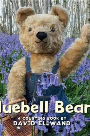 Cover of Bluebell Bears