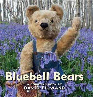 Book cover for Bluebell Bears