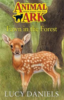 Book cover for Fawn in the Forest