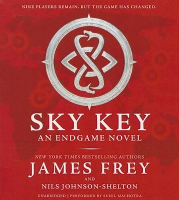 Book cover for Sky Key