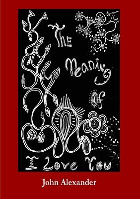 Book cover for The Meaning of I Love You