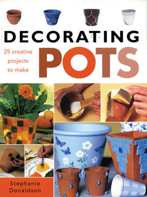Book cover for Decorating Pots