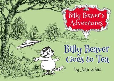 Book cover for Billy Beaver's Adventures