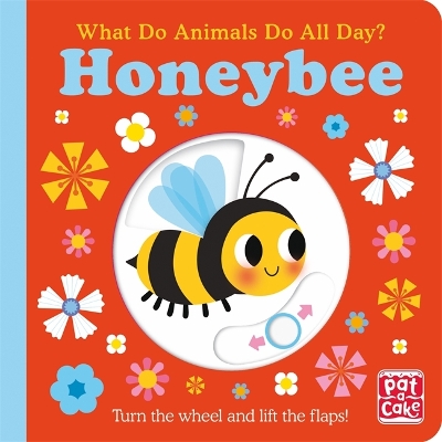 Book cover for What Do Animals Do All Day?: Honeybee