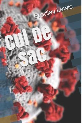 Book cover for Cul De Sac