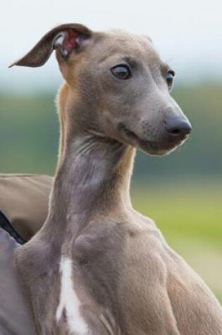 Cover of Italian Greyhound Portrait Dog Journal