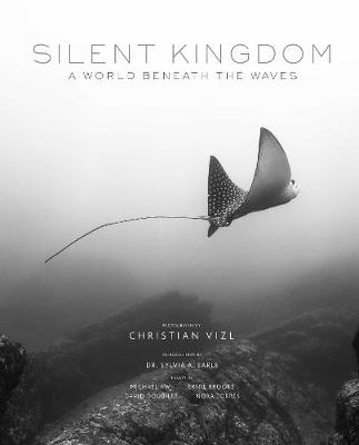 Book cover for Silent Kingdom